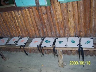 100-8042.jpg