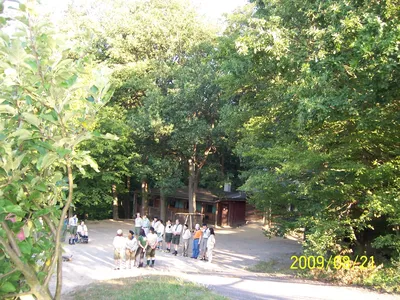100-8103.jpg
