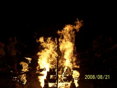 100-8117.jpg