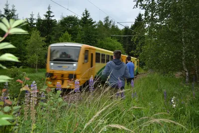dsc-7648.jpg